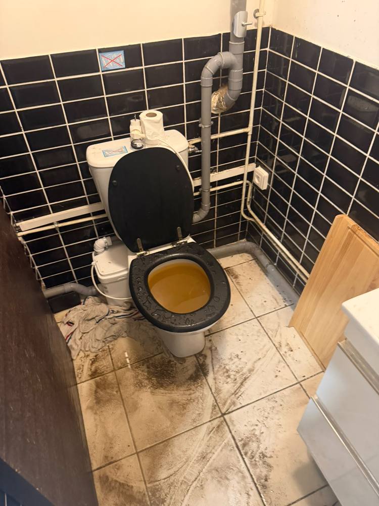 Refoulement d'eaux usées dans un WC sanibroyeur : urgence débouchage